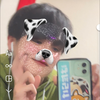 コタ🐕