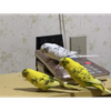 ユーザーアイコン