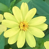 ﾀｹｼﾞｭﾝ 🌼
