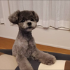 ゆの