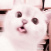 ここ