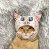 きねーこ