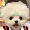 にお🌼🎧 