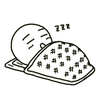   お休み中😴