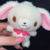 く！ちゃん