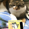 🔮NKKO(ﾈｯｺｰ)🐱🍁