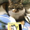 🔮NKKO(ﾈｯｺｰ)🐱🍁占いﾗｲﾊﾞｰ🔯