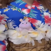 🧿 Taro〘いばらきのこ🌹🍄MG〙👁️‍🗨️⋆͛