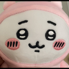 ともち。🐶🎀