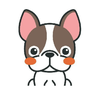 🐶のぶ🌙🪐