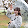 ひで🧸🌸