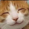 はなはな