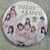 龍情🐣🍀🍼SAKURADOLL推し🌸🩷