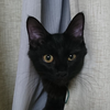 ひろマネ