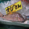 オジサン(魚)