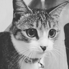ひさし
