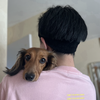 新之丞🐾🎀