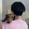 新之丞🐾🎀