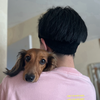 新之丞🐾🎀