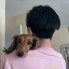 新之丞🐾🎀
