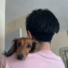 新之丞🐾🎀