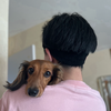 新之丞🐾🎀