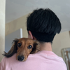 新之丞🐾🎀