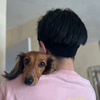 新之丞🐾🎀陽菜#JKミスコン🔥