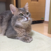 さっちゃん