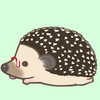🦔ちゃま 