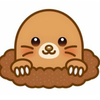 もぐりん☺︎