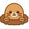 もぐりん☺︎
