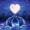 ｲﾙｶᒼᑋªⁿ♥︎🐬︎ ̖́-