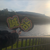 な✌️👑