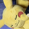 まみ🤍不定期配信