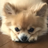 Yukiko