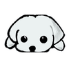 白いピンポンくん