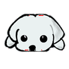 よしのり