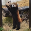 ヘンリー