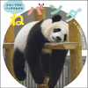 🐼💕.꒰ঌ️HIRO໒꒱.🤍🐼あふぅん💕