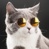 🐱