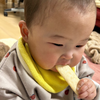 由樹