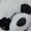小田原🐼【P＆A】太朗