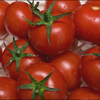 🍅