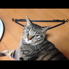 ささささささ