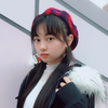 🍓野良猫🍓