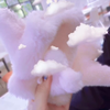 ♡♪(⑉･̆༥･̆⑉)けいけい