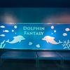 🐬