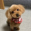 みっこん
