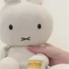 丸🎀【】